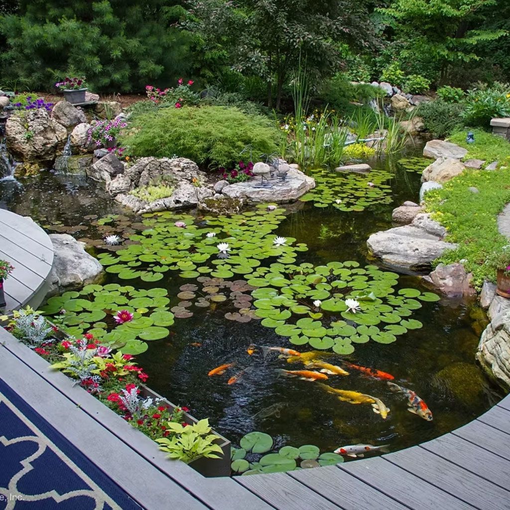 Pond and water feature work, Sittingbourne