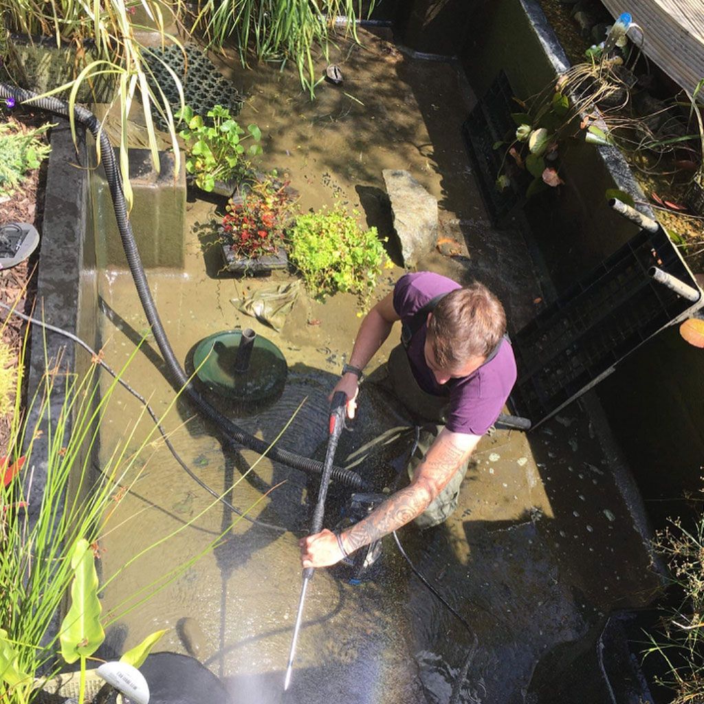 Pond and water feature work, Loughton