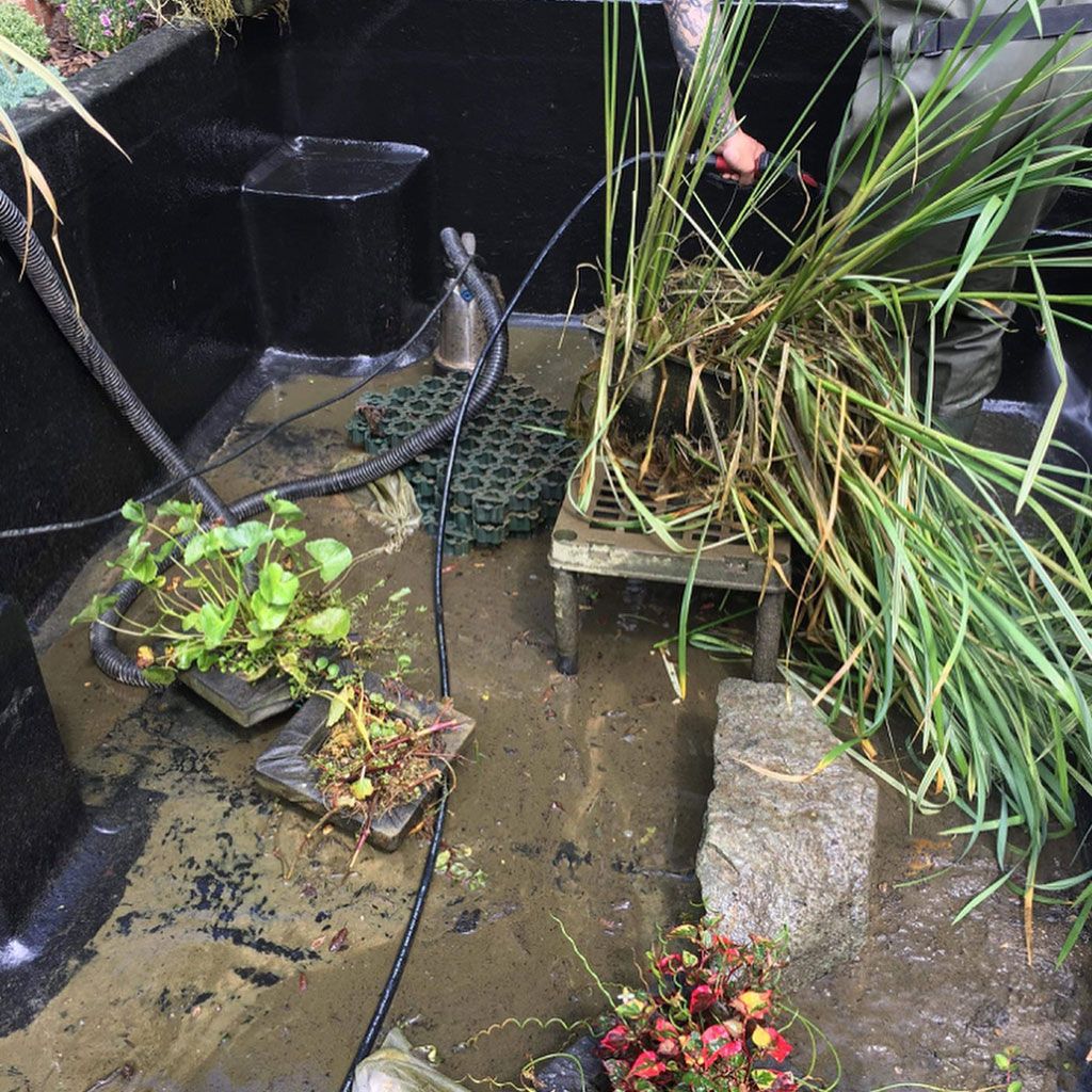Pond and water feature work, Chigwell