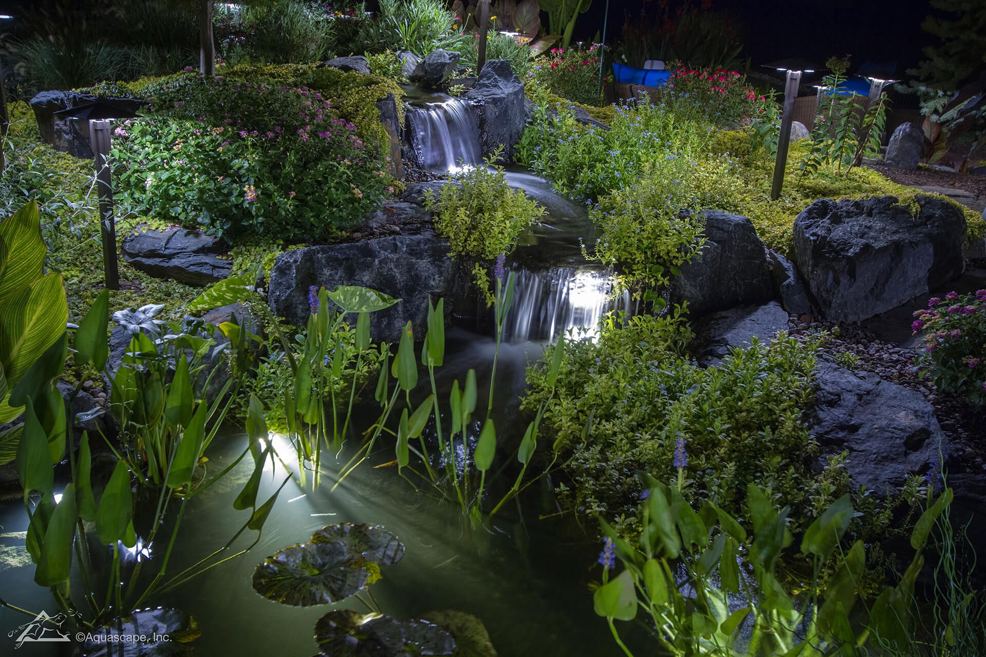 Waterfall and planted pond lit up at night