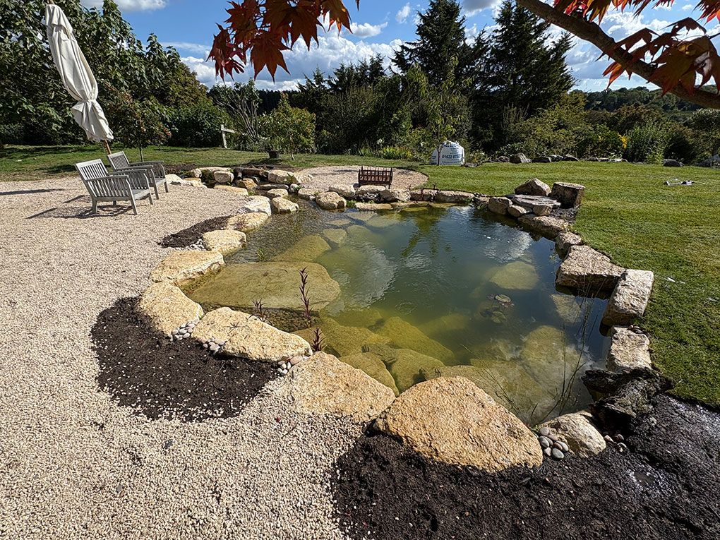 Swim Ponds