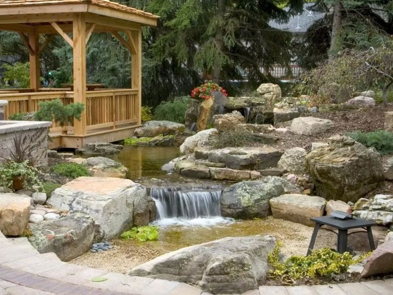 Pond Scapes
