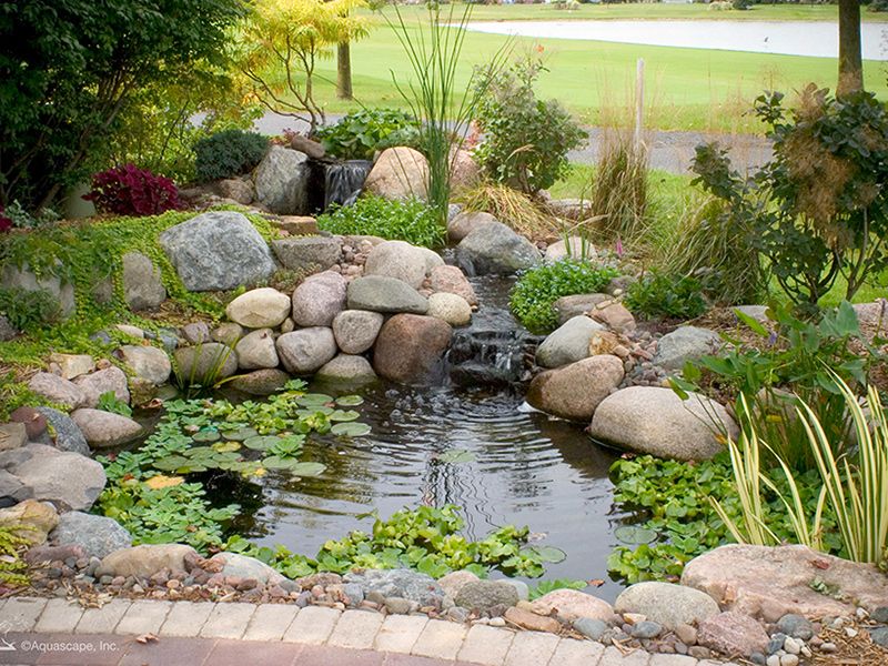 Pond Scapes