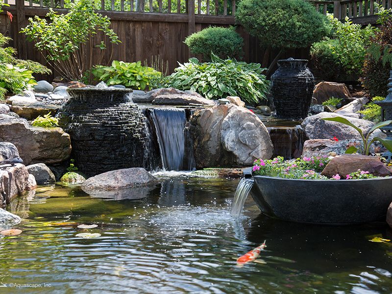 Pond Scapes