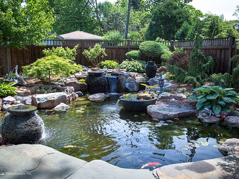 Pond Scapes