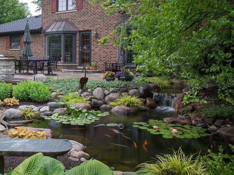 Pond Scapes