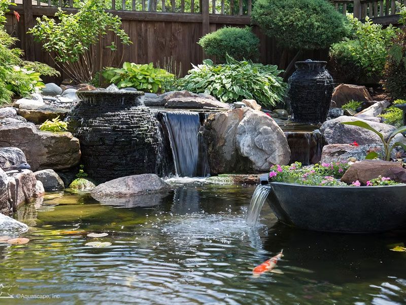 Pond Scapes