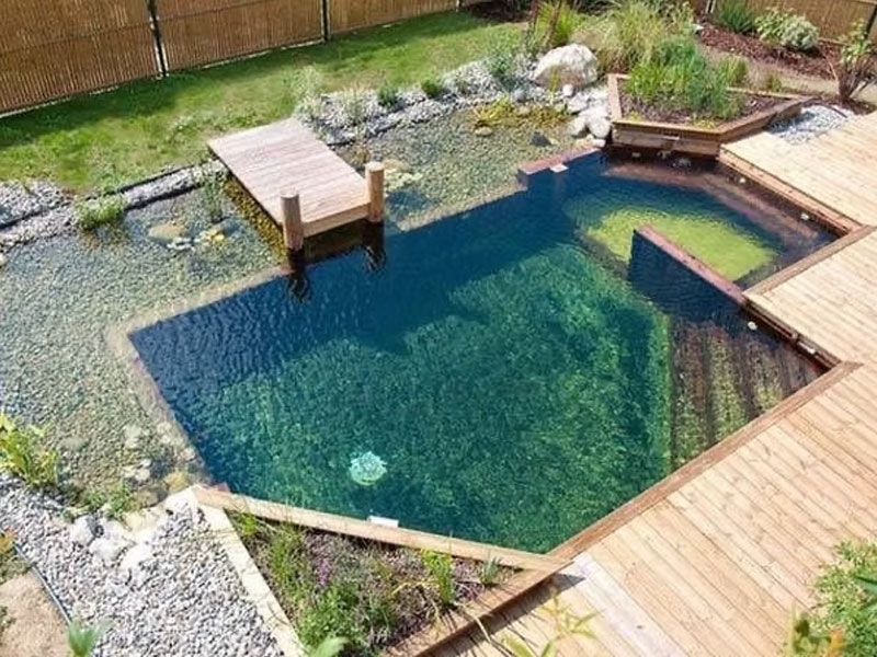 Swim pond with a timber jetty and planted regeneration zone