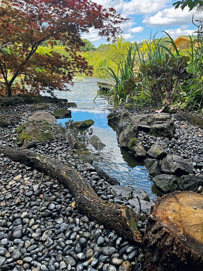 Pebble stream with driftwood winding through planting