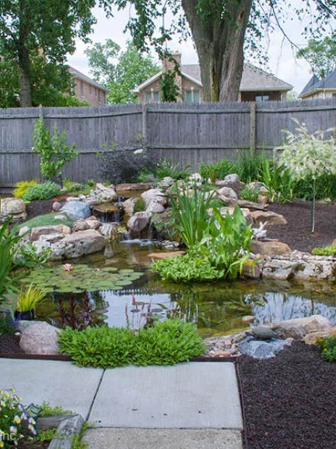 Small wildlife pond with planting beside a paved path