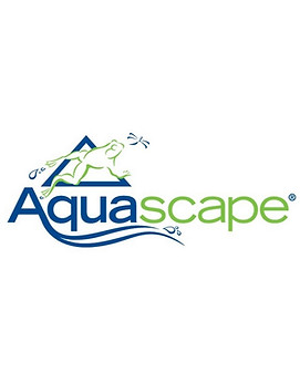 Aquascape