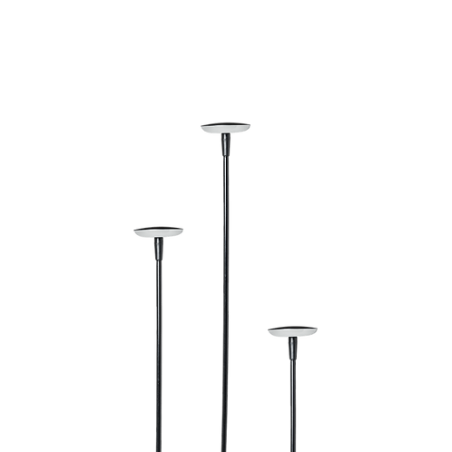 SWAY Planting Light 12v